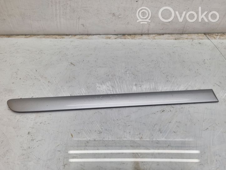 Volkswagen Golf Plus Rivestimento portiera posteriore (modanatura) 1K4853754A