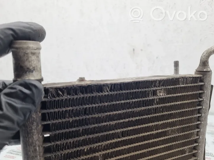 Volkswagen PASSAT B5 Heater blower radiator 