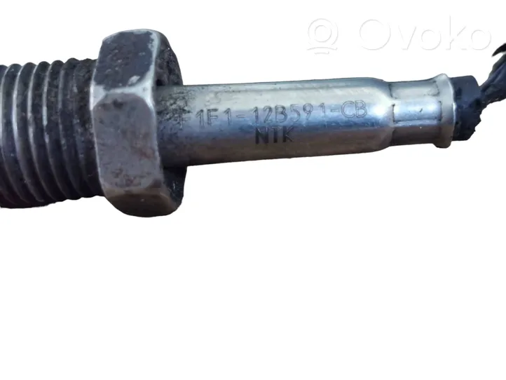 Ford Focus Exhaust gas temperature sensor F1F112B591CB