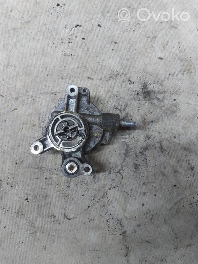 Ford Kuga I Napinacz paska wielorowkowego / Alternatora 5306115