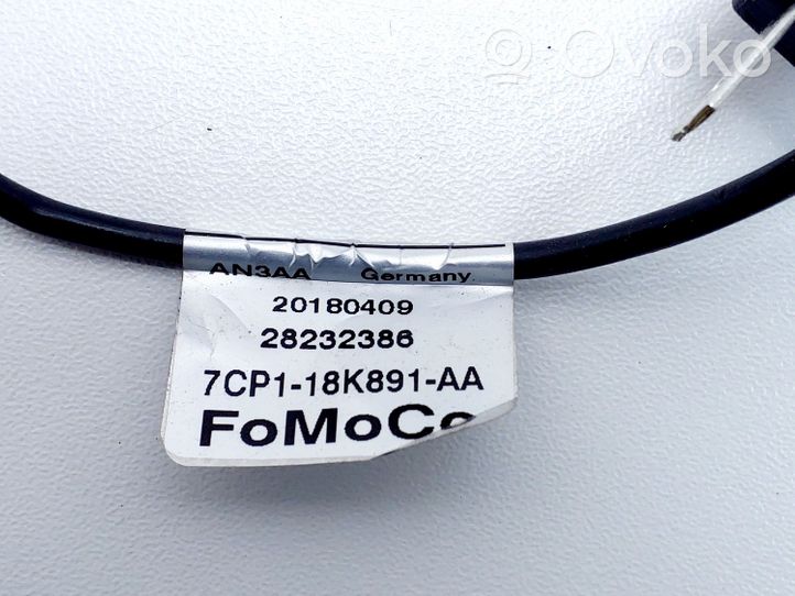 Ford S-MAX Antennenverstärker Signalverstärker 20180409