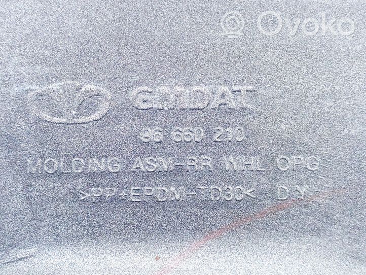 Opel Antara Galinė arka 96660210