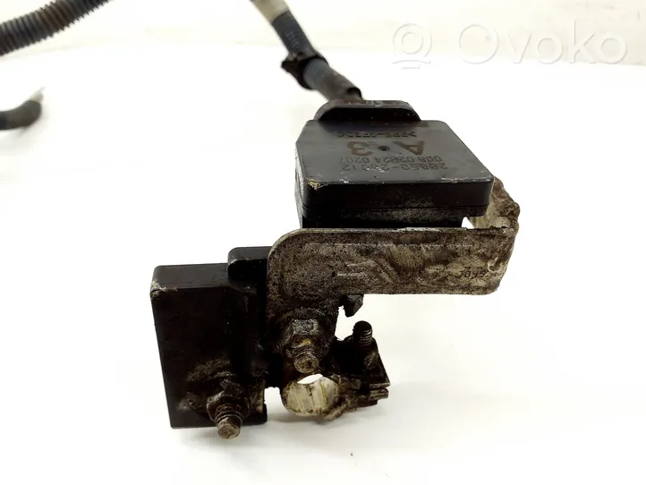 Toyota RAV 4 (XA40) Cavo negativo messa a terra (batteria) 2885026012