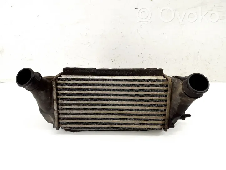 Ford Fiesta Starpdzesētāja radiators C1B19L440AB