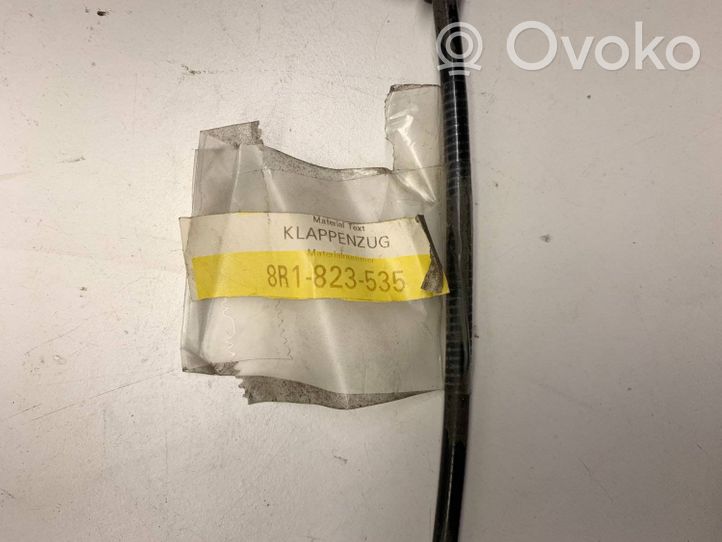 Audi Q5 SQ5 Cavo di rilascio vano motore/cofano 8R1823535