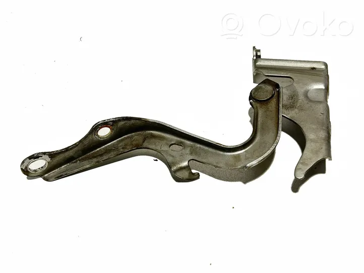 Toyota Verso Cerniere del vano motore/cofano 534100F030