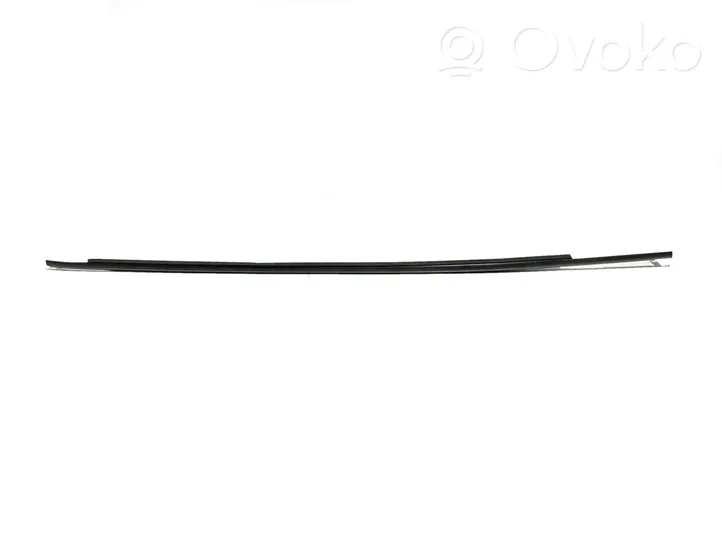 Toyota Verso Front door glass trim molding 757100F020