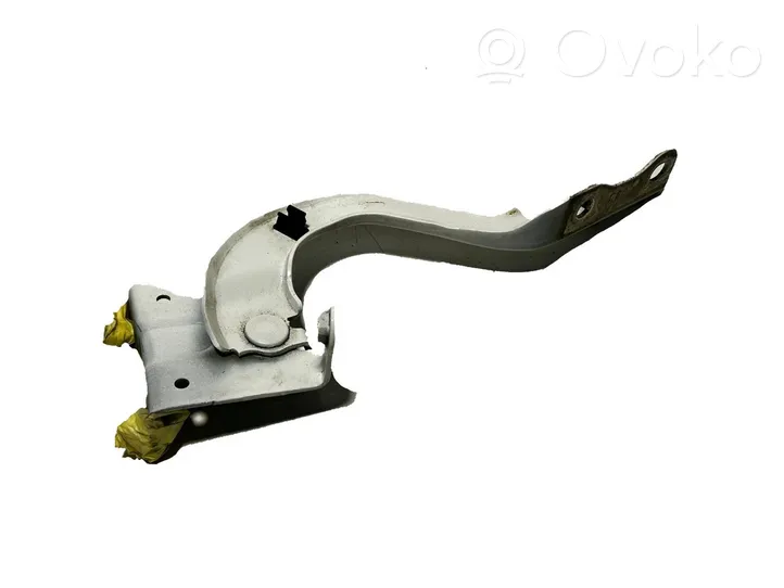 Toyota C-HR Cerniere del vano motore/cofano 53410F4010