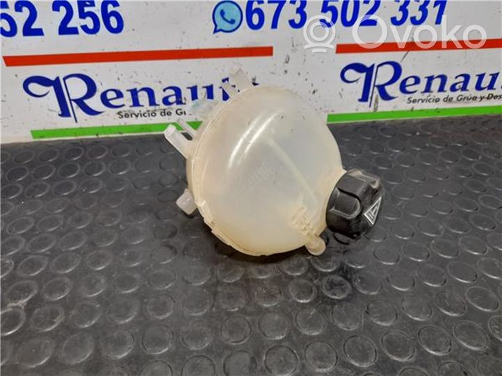 Peugeot 208 Vase d'expansion / réservoir de liquide de refroidissement 9824198680