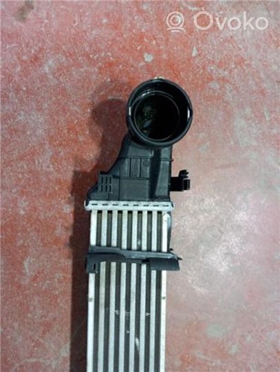 Mercedes-Benz E W211 Radiatore intercooler A2115001102