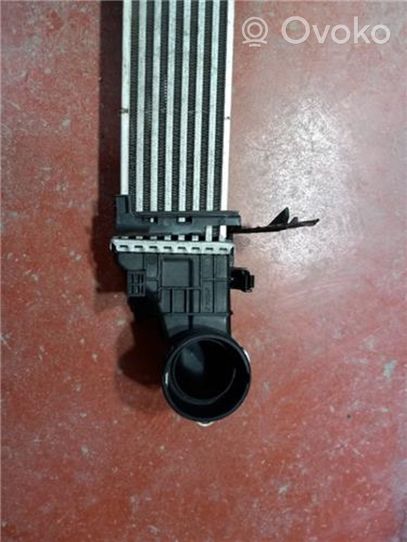 Mercedes-Benz E W211 Chłodnica powietrza doładowującego / Intercooler A2115001102