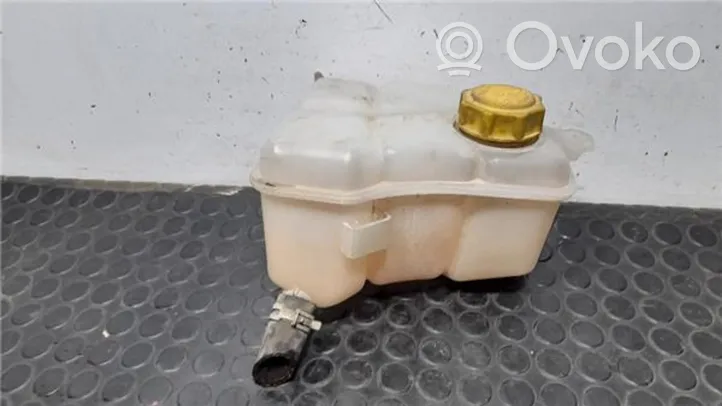 Ford Fusion Serbatoio di compensazione del liquido refrigerante/vaschetta 