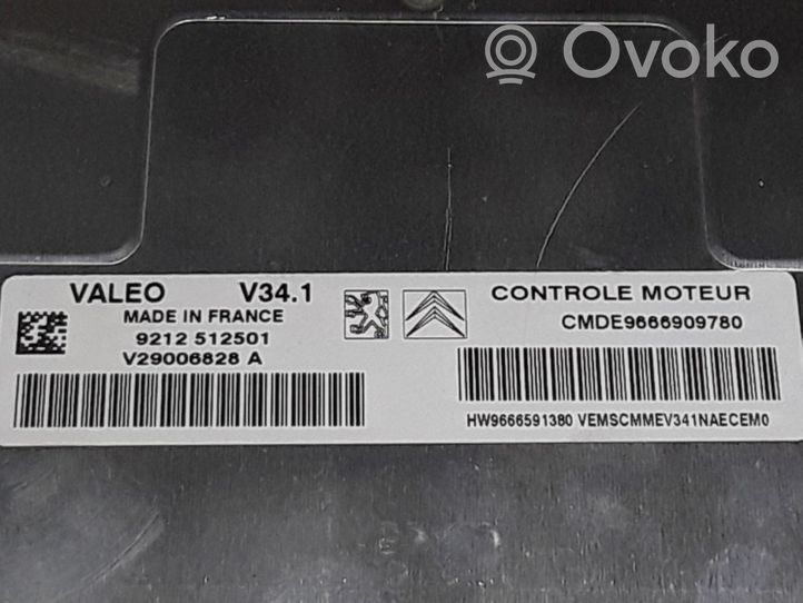 Peugeot 207 Sterownik / Moduł ECU 9666909780