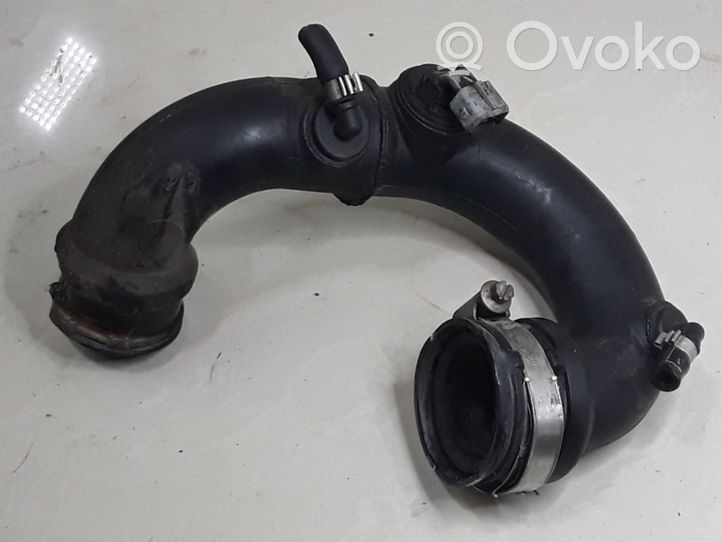 Nissan Micra Wąż / Rura intercoolera 8200290501