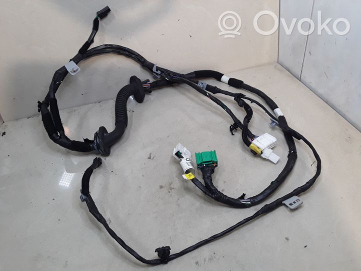 Hyundai Santa Fe Arnés de cableado de la puerta trasera/maletero 916812B030