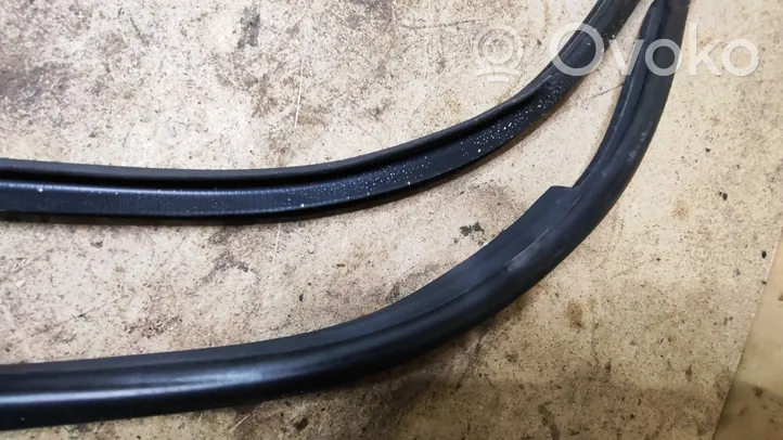 Toyota Auris 150 Front door rubber seal 