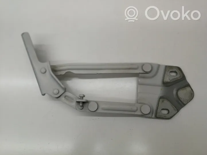 Volkswagen Caddy Engine bonnet/hood hinges 1T0823302F