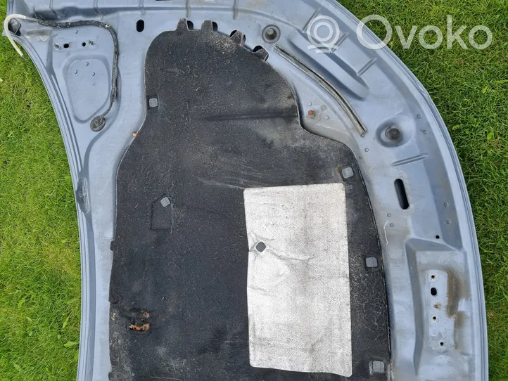 Volkswagen Eos Pokrywa przednia / Maska silnika 
