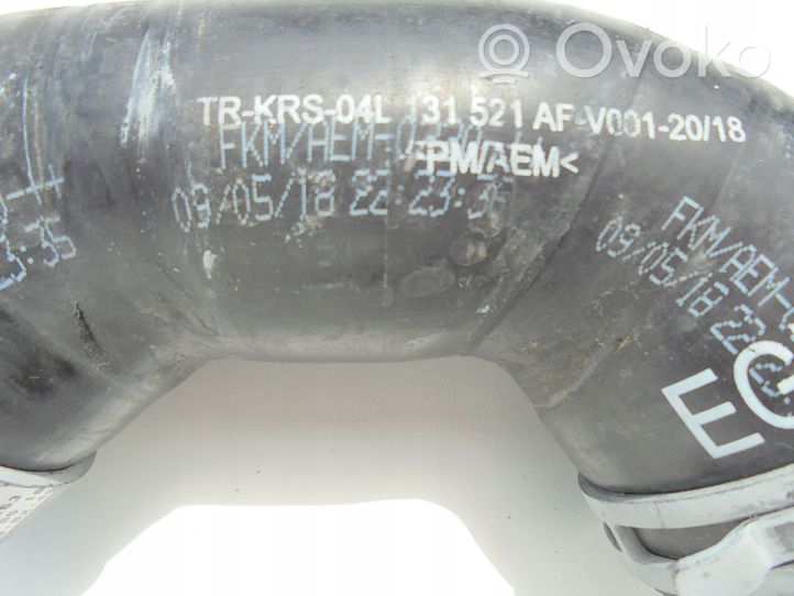 Volkswagen Tiguan Žarna (-os)/ vamzdis (-džiai) 04L131521AF