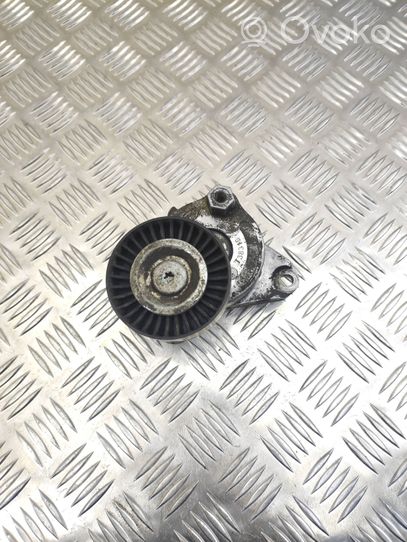 Mercedes-Benz ML W164 Napinacz paska wielorowkowego / Alternatora T38319