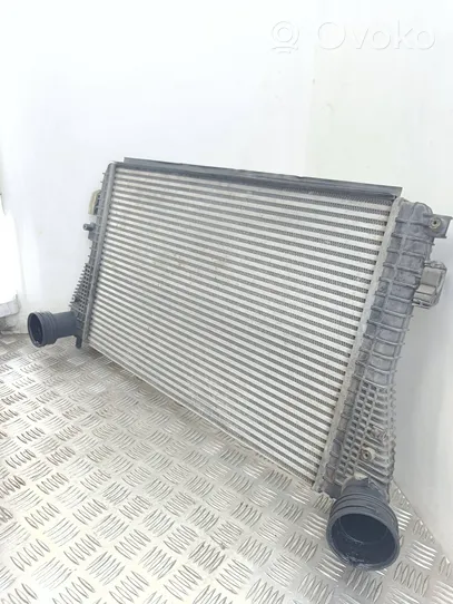 Volkswagen Golf V Radiatore intercooler 1K0145803