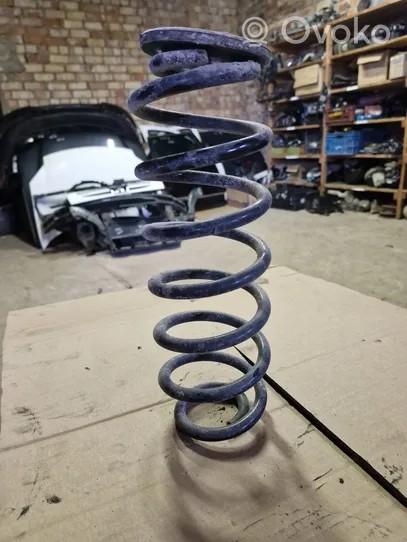 Volkswagen PASSAT B6 Rear coil spring 