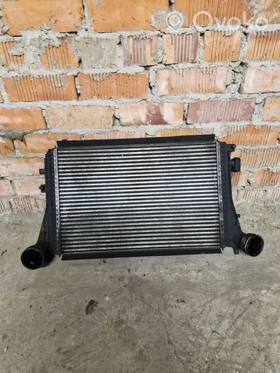 Volkswagen PASSAT B6 Chłodnica powietrza doładowującego / Intercooler 