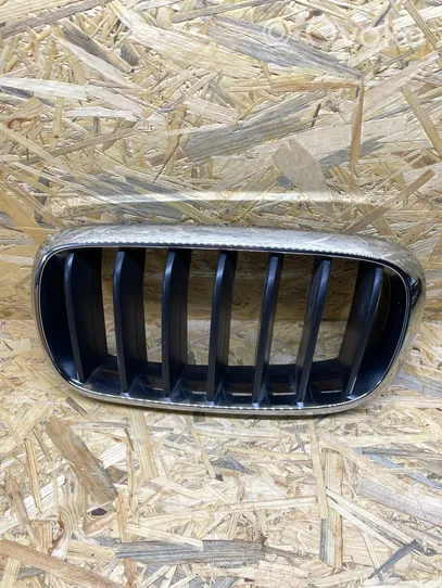 BMW X5 F15 Front bumper upper radiator grill 7316075