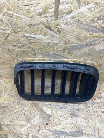 BMW X5 F15 Grille de calandre avant 7316076