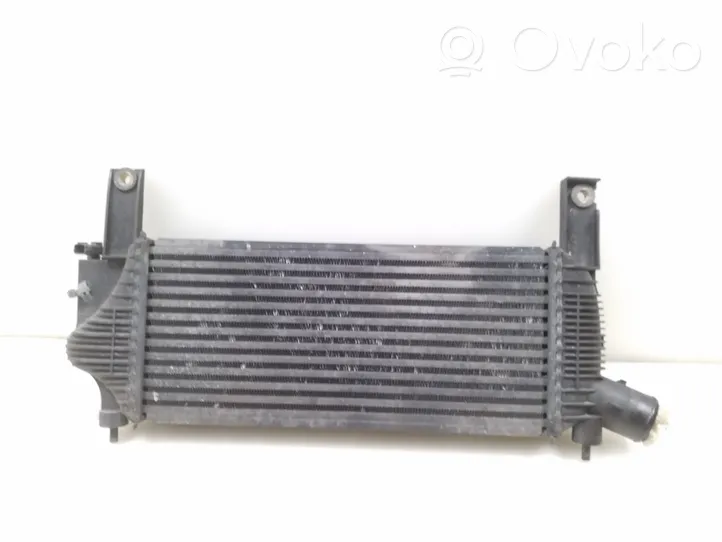 Nissan Pathfinder R51 Radiatore intercooler 