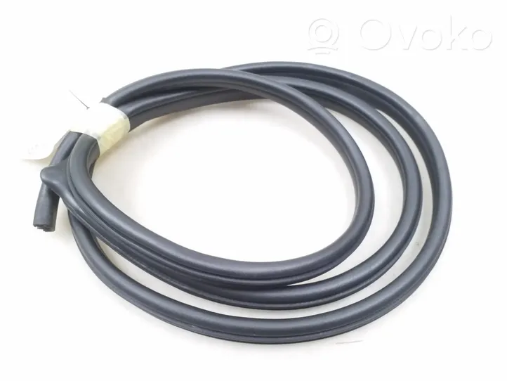 Opel Antara Front door rubber seal 