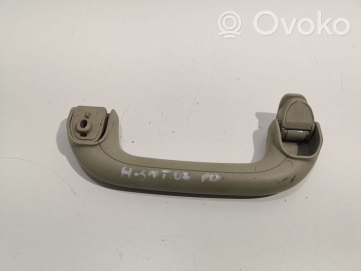 Hyundai Sonata Front interior roof grab handle 