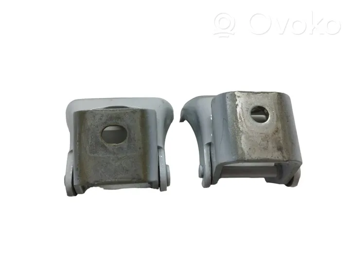 Renault Kangoo II Front door hinges set 115113502