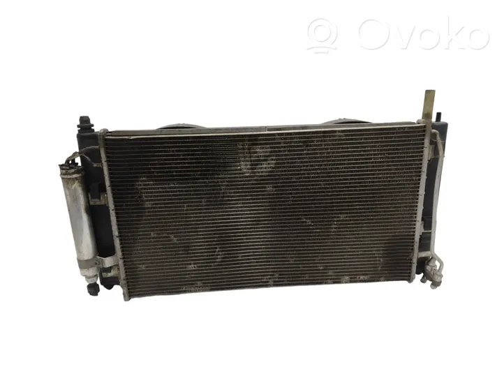 Nissan Leaf I (ZE0) Kit Radiateur A18700A28001