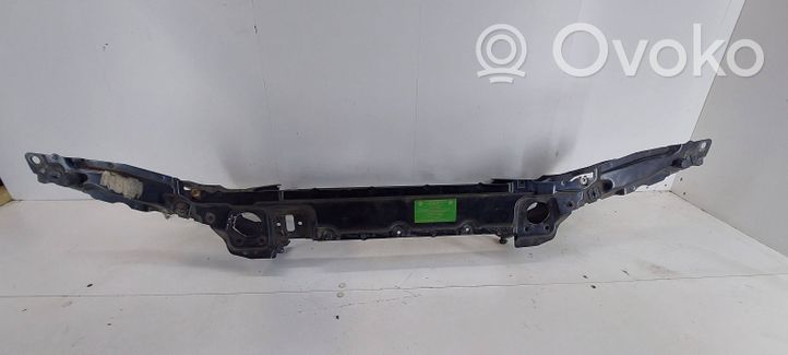 BMW 5 E39 Radiatoru panelis (televizors) 8381241