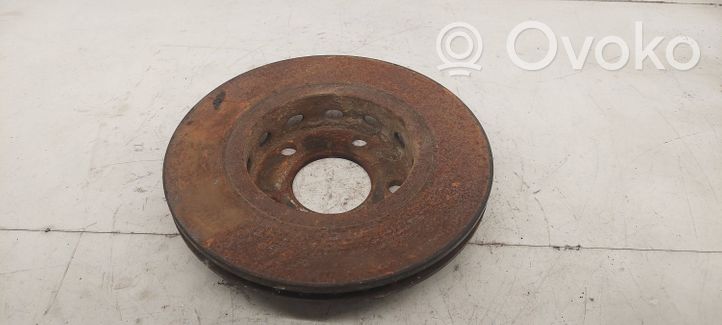 Volkswagen PASSAT B5.5 Rear brake disc 