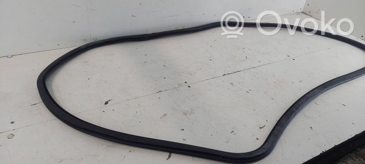 Audi A4 S4 B6 8E 8H Front door rubber seal 8E0831721B