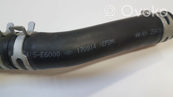 Hyundai Sonata Durite de refroidissement tube 25415E6000