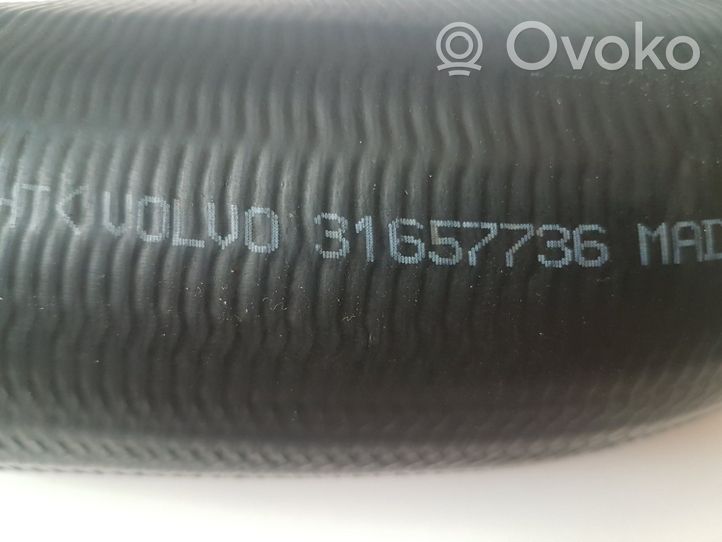 Volvo V60 Tubo flessibile intercooler 31657736