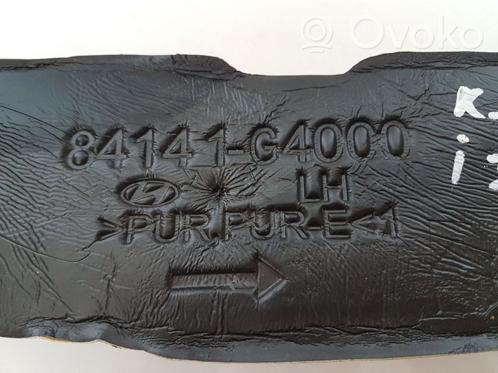 Hyundai i30 Supporto/guarnizione in poliuretano espanso del parafango 84141G4000