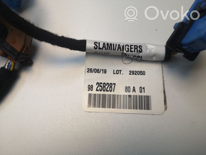 Opel Grandland X Other wiring loom 9825828780