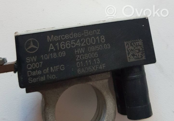 Mercedes-Benz A W176 Câble négatif masse batterie A1665420018