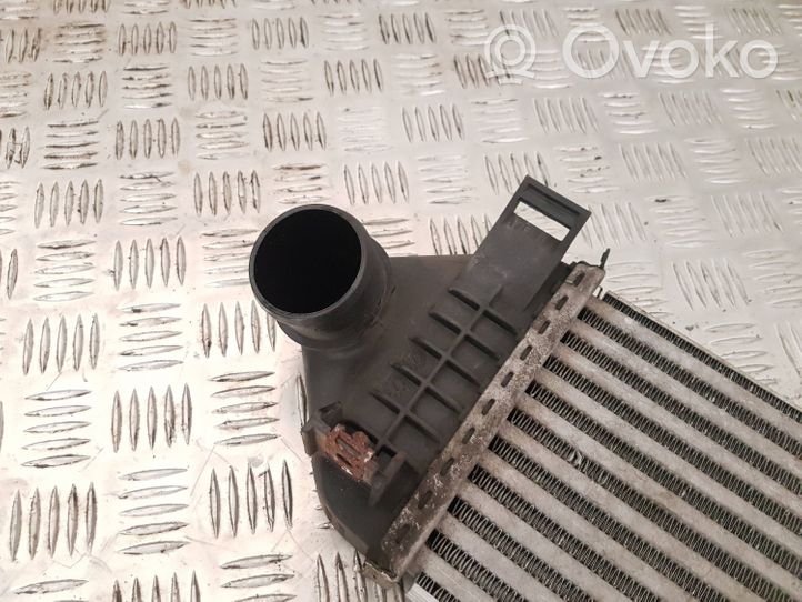 Volvo V40 Radiatore intercooler 31319168