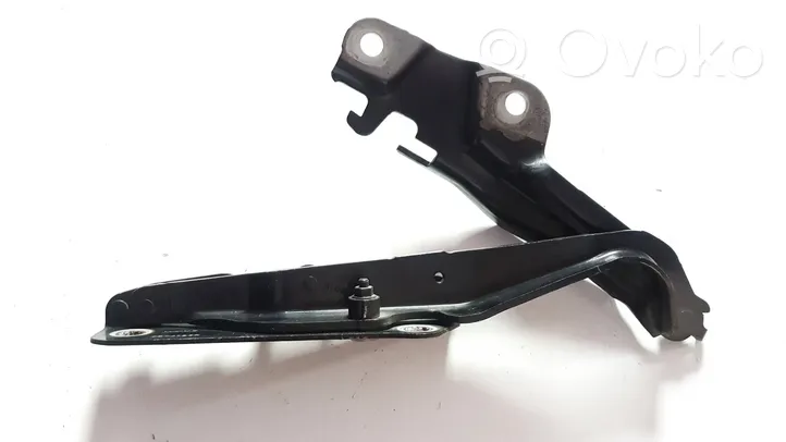 Jaguar XF Cerniere del vano motore/cofano S9740220