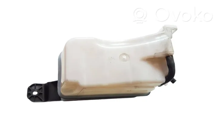 KIA Sorento Serbatoio di compensazione del liquido refrigerante/vaschetta 254302B100