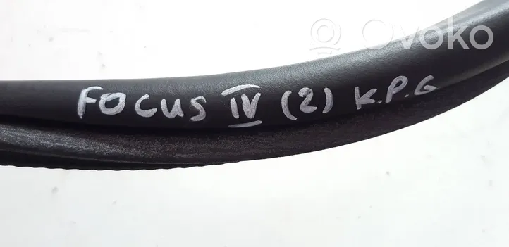 Ford Focus Rear door rubber seal (on body) JX7BA253A10AE