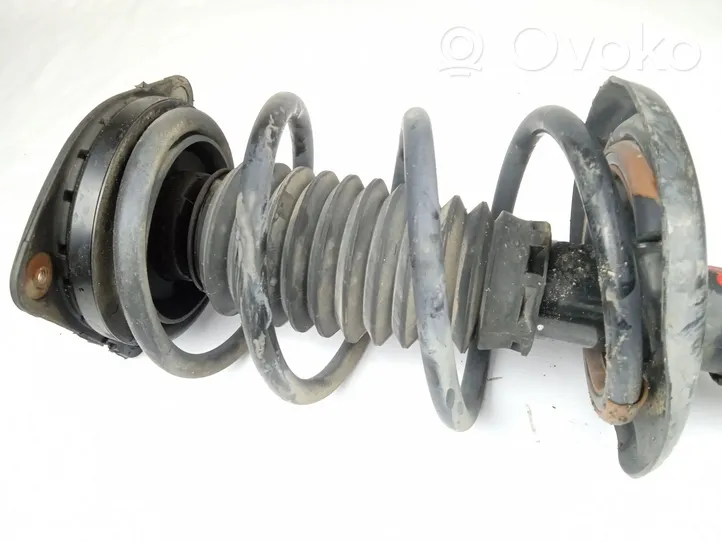 Renault Laguna III Ammortizzatore anteriore con molla elicoidale 543020011R