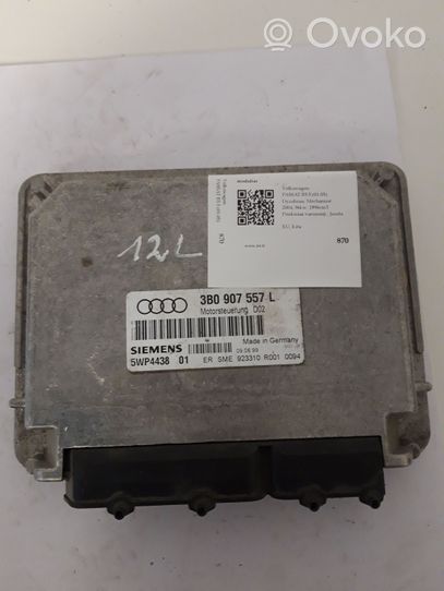 Volkswagen PASSAT B5.5 Dzinēja vadības bloks 3B0907557L