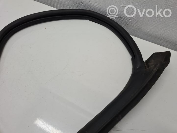 Volkswagen Beetle A5 Front door rubber seal 