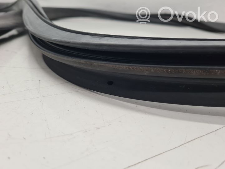 Volkswagen Caddy Sliding door rubber seal 2K0843792B